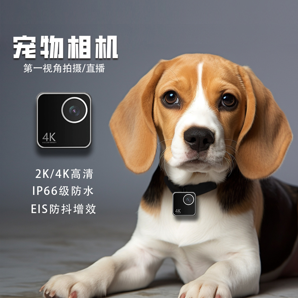 Animal cat dog pet camera firs - Cameras ulasan dan harga