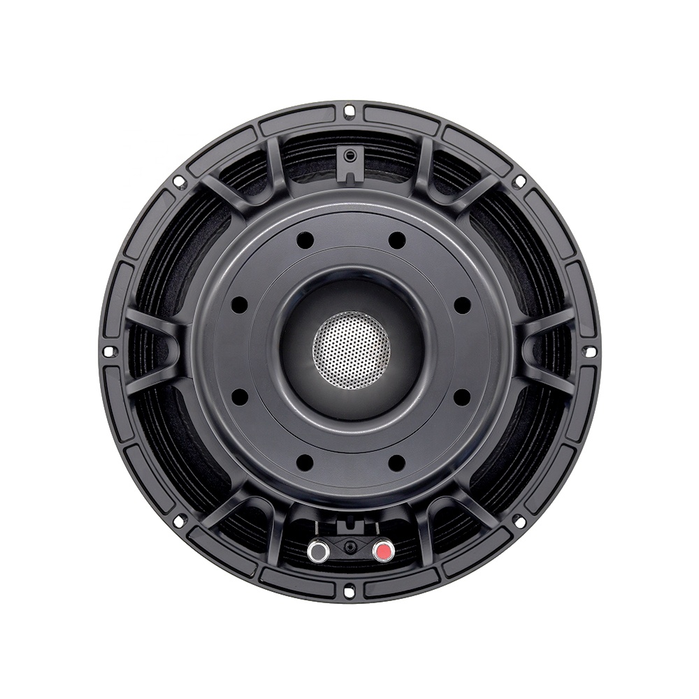 12DS Pro Audio Equipment 12''  - Speakers ulasan dan harga