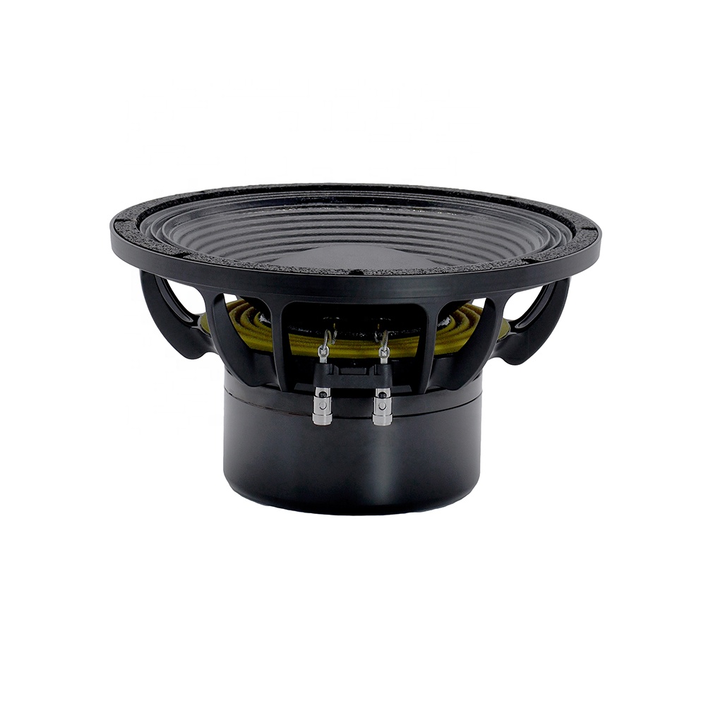 12DS Pro Audio Equipment 12''  - Speakers ulasan dan harga
