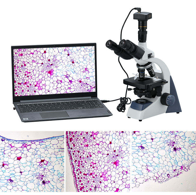 Binocular Biological Digital V - Cameras ulasan dan harga